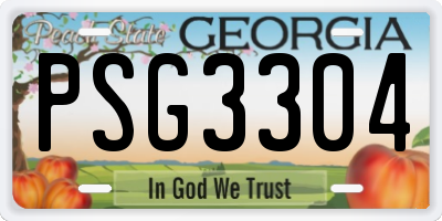 GA license plate PSG3304