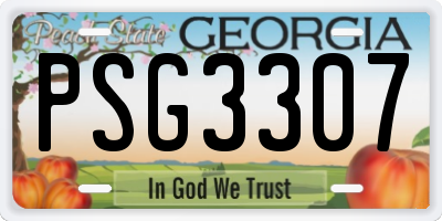 GA license plate PSG3307