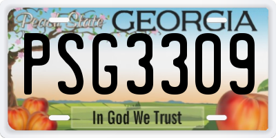 GA license plate PSG3309