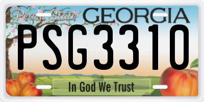 GA license plate PSG3310
