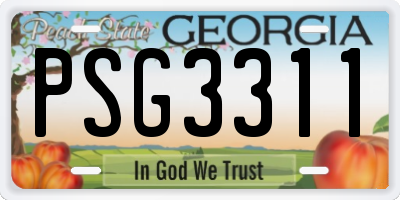 GA license plate PSG3311