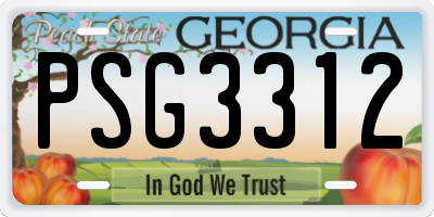 GA license plate PSG3312