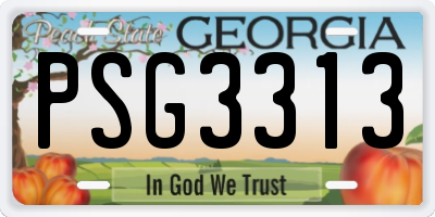 GA license plate PSG3313