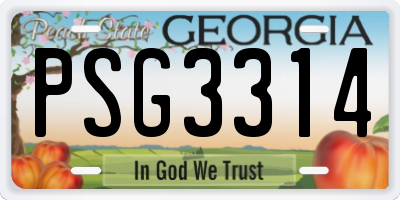GA license plate PSG3314