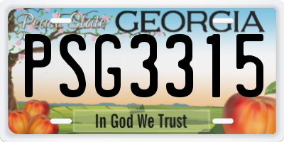 GA license plate PSG3315