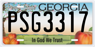 GA license plate PSG3317