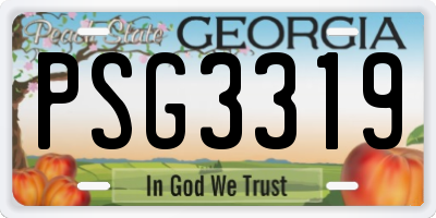 GA license plate PSG3319
