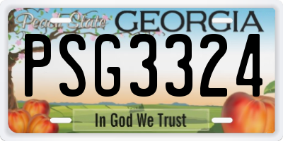 GA license plate PSG3324