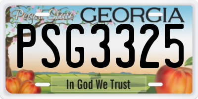 GA license plate PSG3325