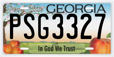 GA license plate PSG3327
