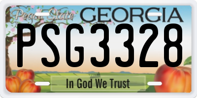 GA license plate PSG3328