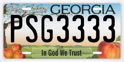 GA license plate PSG3333