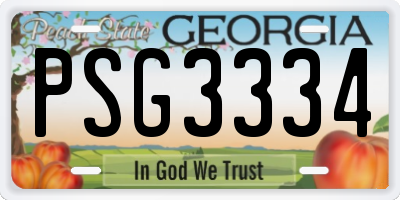 GA license plate PSG3334