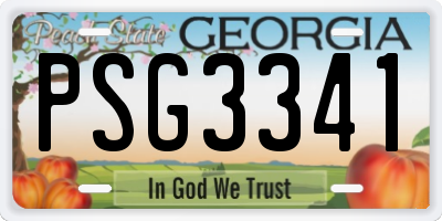 GA license plate PSG3341