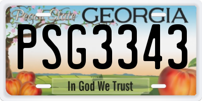 GA license plate PSG3343
