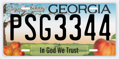 GA license plate PSG3344