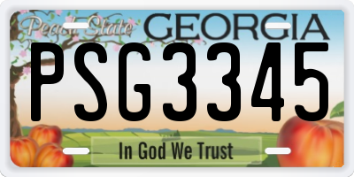 GA license plate PSG3345