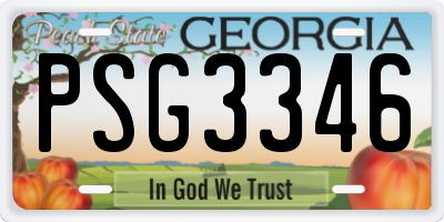 GA license plate PSG3346