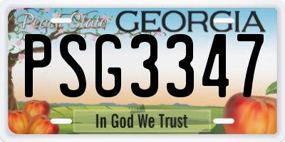 GA license plate PSG3347