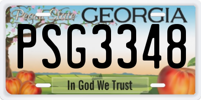 GA license plate PSG3348