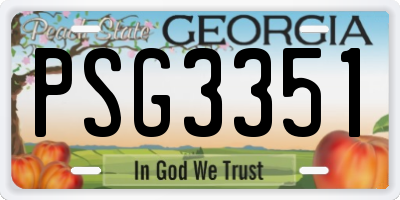 GA license plate PSG3351