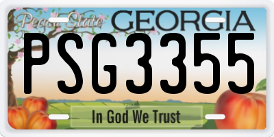 GA license plate PSG3355
