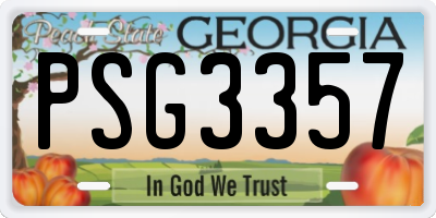 GA license plate PSG3357