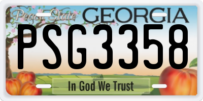 GA license plate PSG3358