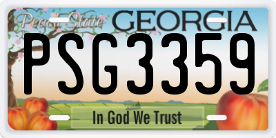 GA license plate PSG3359