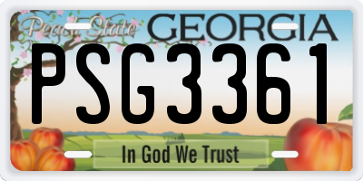 GA license plate PSG3361