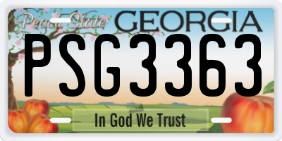 GA license plate PSG3363