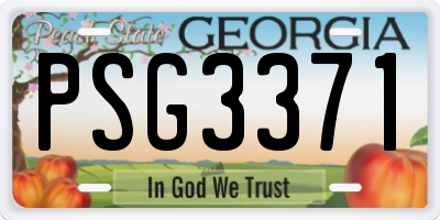 GA license plate PSG3371