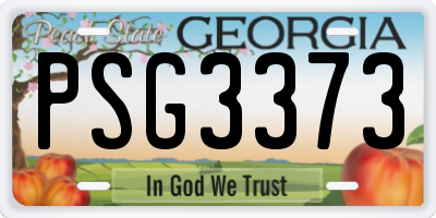 GA license plate PSG3373