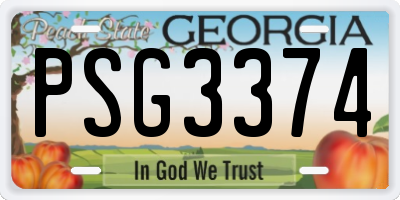 GA license plate PSG3374