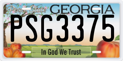 GA license plate PSG3375
