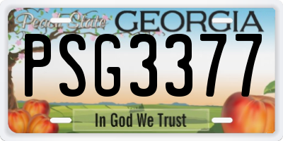 GA license plate PSG3377