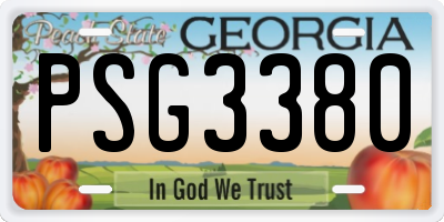 GA license plate PSG3380