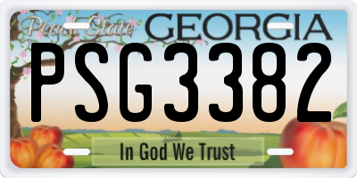 GA license plate PSG3382