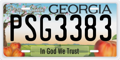 GA license plate PSG3383