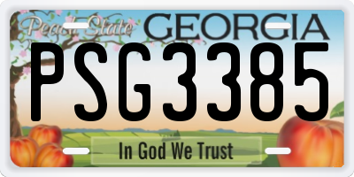 GA license plate PSG3385