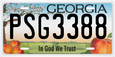 GA license plate PSG3388