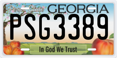 GA license plate PSG3389
