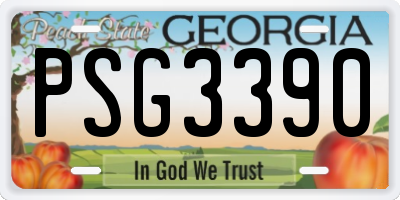 GA license plate PSG3390