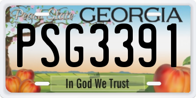 GA license plate PSG3391