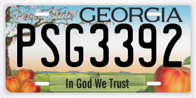 GA license plate PSG3392