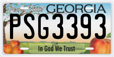 GA license plate PSG3393