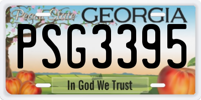GA license plate PSG3395