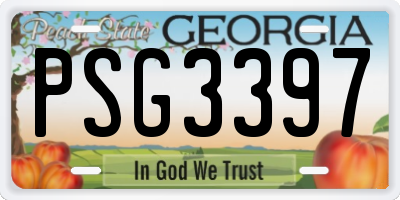GA license plate PSG3397