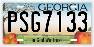 GA license plate PSG7133