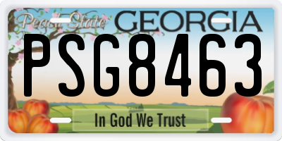 GA license plate PSG8463